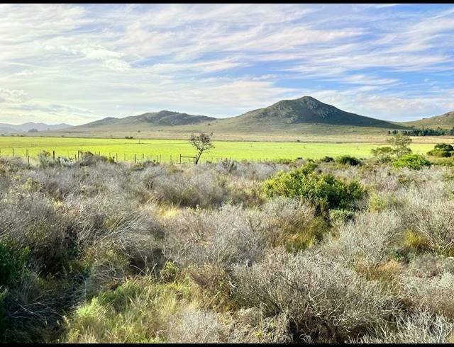 27HA VACANT LAND FOR SALE IN HUMANSDORP RURAL